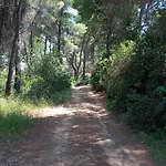 Apartmán 